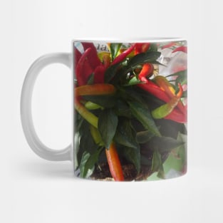 chili pepper - 1 Mug